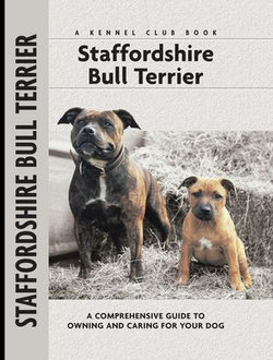 Staffordshire Bull Terrier