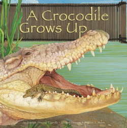 A Crocodile Grows Up