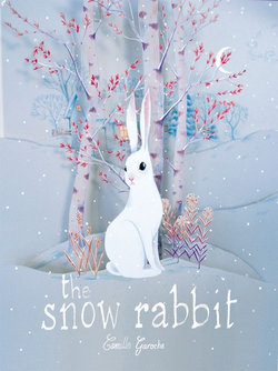 The Snow Rabbit