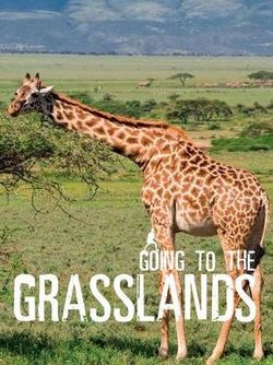 Going to the Grasslands