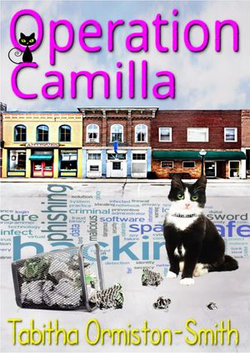 Operation Camilla