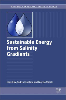 Sustainable Energy from Salinity Gradients