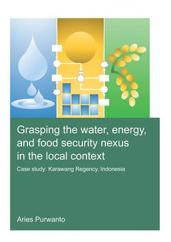 Grasping the Water, Energy, and Food Security Nexus in the Local Context