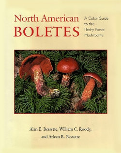 North American Boletes