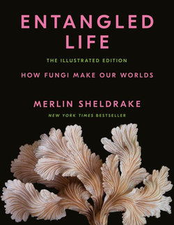 Entangled Life: the Illustrated Edition