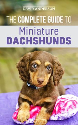 The Complete Guide to Miniature Dachshunds