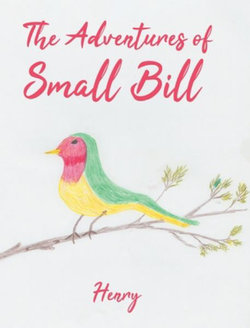 The Adventures of Small Bill