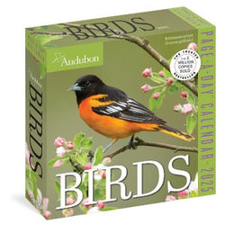 Audubon Birds Page-A-Day (R) Calendar 2025