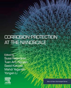 Corrosion Protection at the Nanoscale