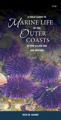 A Field Guide to Marine Life of the Outer Coasts of the Salish Sea and Beyond