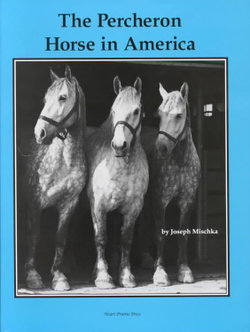 The Percheron Horse in America