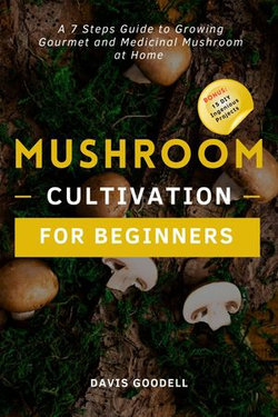 Mushroom Cultivation for Beginners