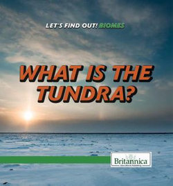 What Is the Tundra?