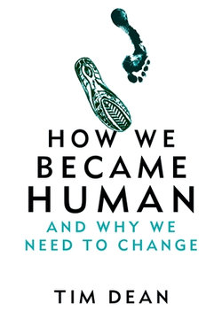 How we Became Human