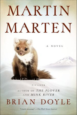 Martin Marten