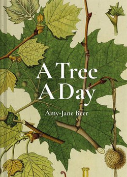 A Tree A Day