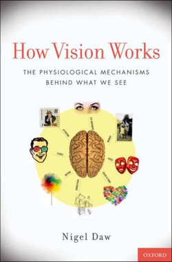 How Vision Works