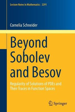 Beyond Sobolev and Besov