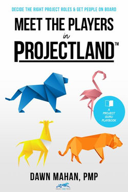 Meet the Players in Projectland