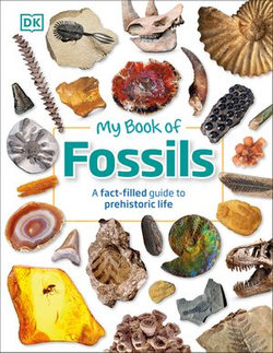 My Book of Fossils