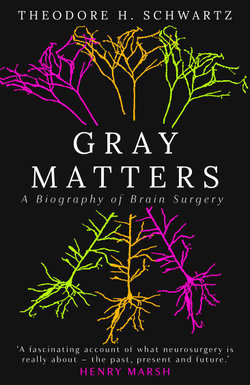 Gray Matters