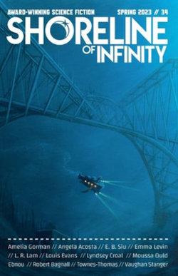 Shoreline of Infinity 34