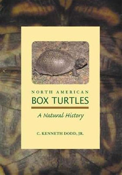 North American Box Turtles