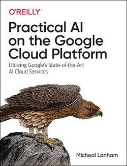 Practical AI on the Google Cloud Platform