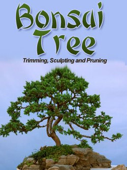 Bonsai