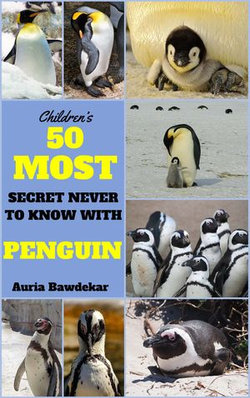 50 Most Secret With Penguin