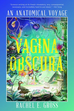 Vagina Obscura