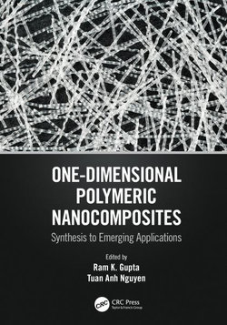 One Dimensional Polymeric Nanocomposites