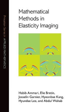 Mathematical Methods in Elasticity Imaging