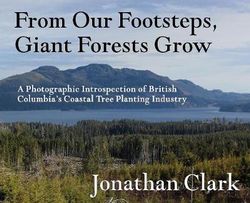 From Our Footsteps, Giant Forests Grow