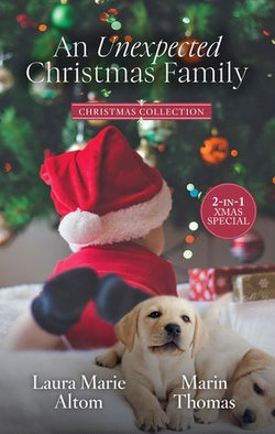 An Unexpected Christmas Family/The Cowboy SEAL's Jingle Bell Baby/The Surgeon's Christmas Baby