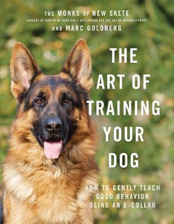 The Art of Training Your Dog