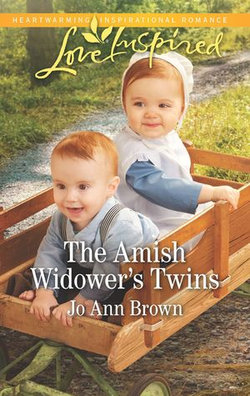 The Amish Widower's Twins