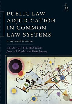 Public Law Adjudication in Common Law Systems