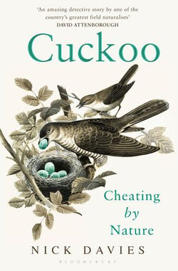 Cuckoo