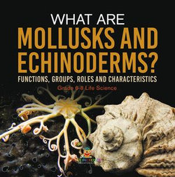 What are Mollusks and Echinoderms? Functions, Groups, Roles and Characteristics | Grade 6-8 Life Science