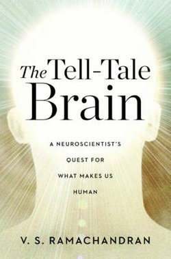 The Tell-Tale Brain