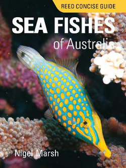 Reed Concise Guide Sea Fishes of Australia