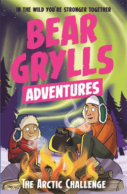 Bear Grylls Adventure : The Arctic Challenge