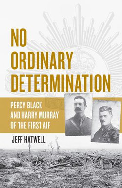 No Ordinary Determination