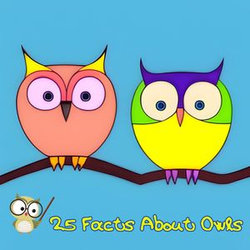 25 Facts About Owls