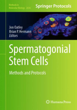 Spermatogonial Stem Cells