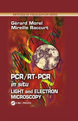 PCR/RT- PCR in situ