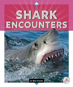 Shark Encounters