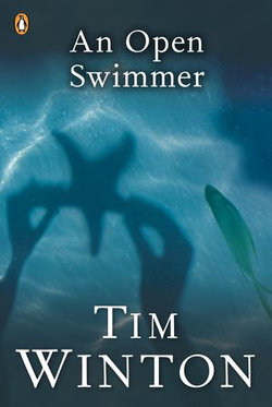 An Open Swimmer