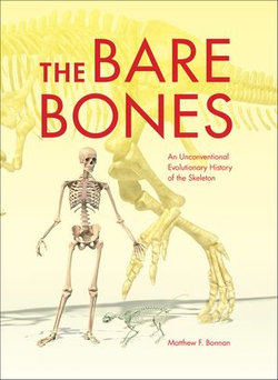 The Bare Bones